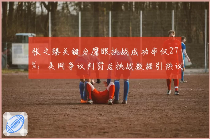 张之臻关键分鹰眼挑战成功率仅27%，美网争议判罚后挑战数据引热议