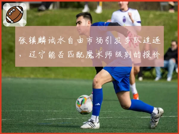 张镇麟试水自由市场引发多队追逐，辽宁能否匹配魔术师级别的报价？