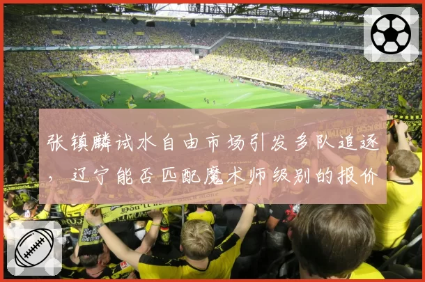 张镇麟试水自由市场引发多队追逐，辽宁能否匹配魔术师级别的报价？